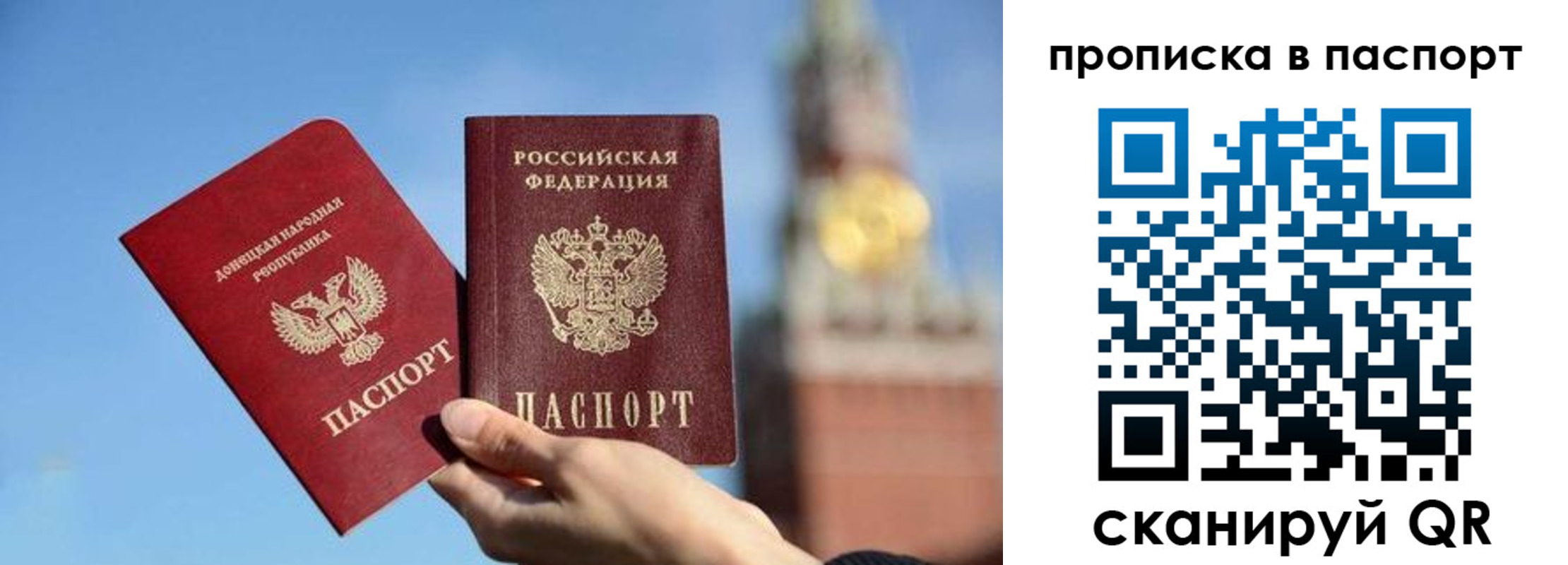 прописка ребенка в Ершове